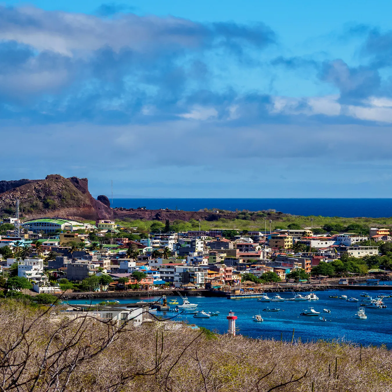 Galápagos landscape