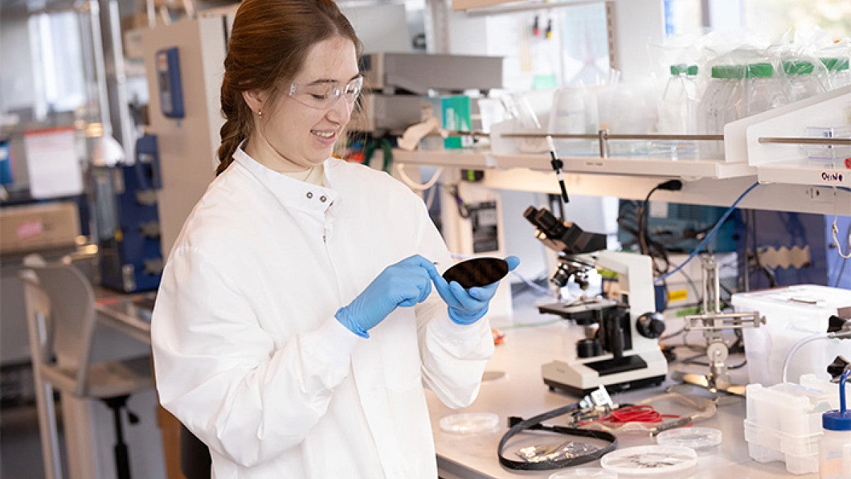 Emma Jacobs removing a thin-film array in the Deku lab